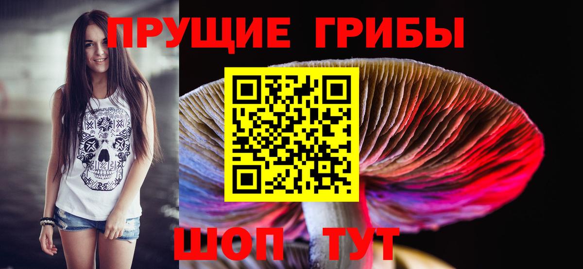 Галлюциногенные грибы Psilocybe Лобня