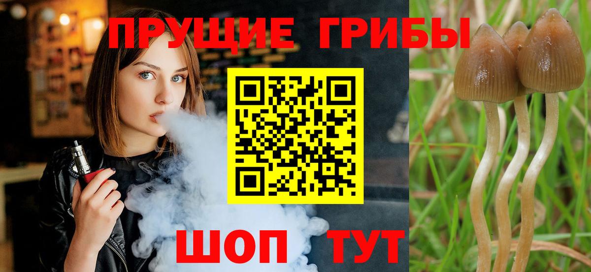 Лобня  Псилоцибиновые грибы мицелий  Галлюциногенные грибы мицелий  Вход с VPN 